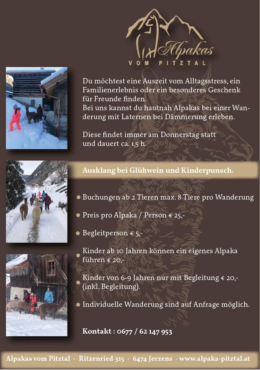 Alpakawanderung Winter