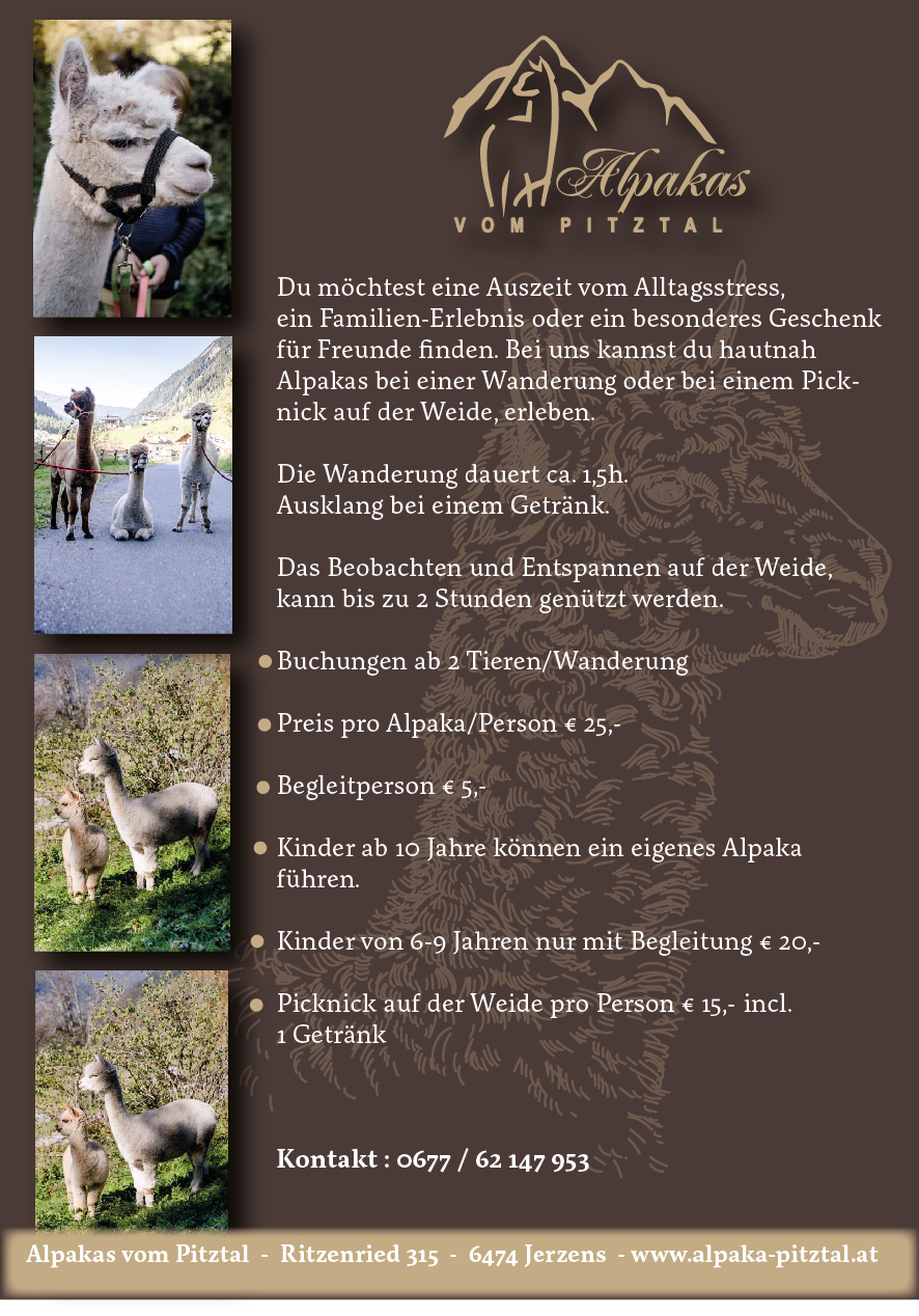 Alpakawanderung Sommer